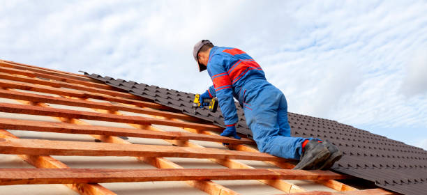 Professional  Roofing repair and installation in Dickinson, ND