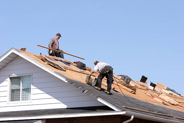 Best Roofing for New Construction  in Dickinson, ND