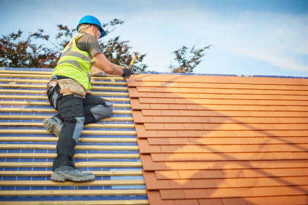 Best Gutter Installation and Repair  in Dickinson, ND